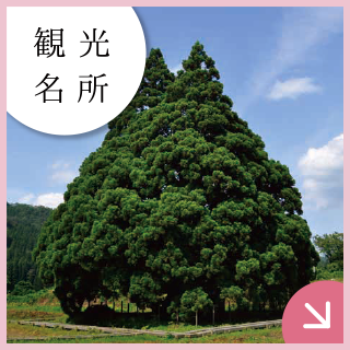 観光名所