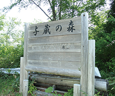 与蔵沼看板画像