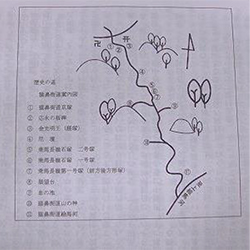 案内略図画像