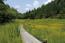 米湿原の風景画像