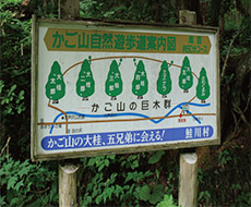 かご山自然遊歩道案内図画像