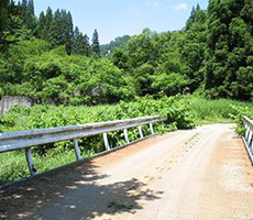 山道画像