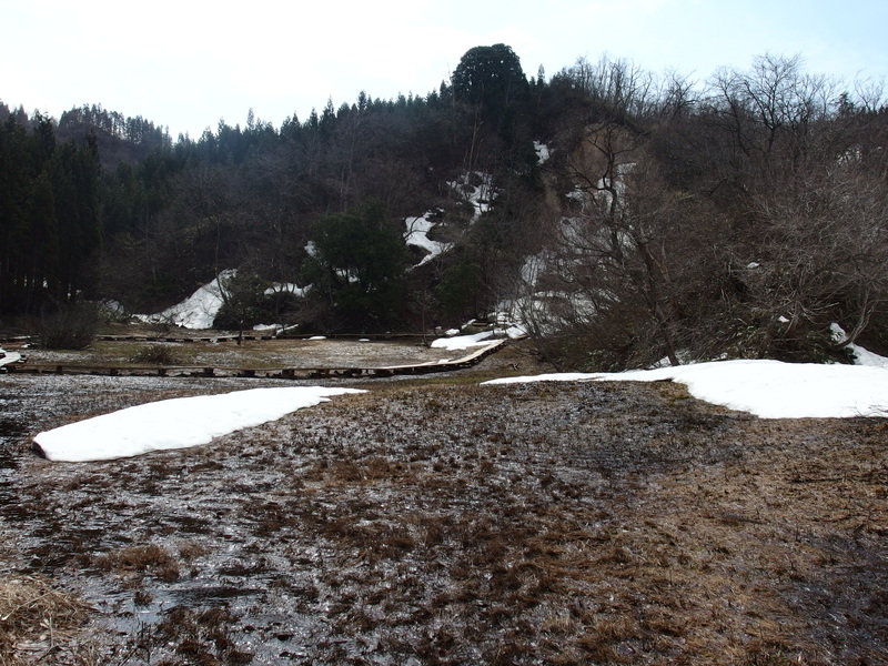 雪解け